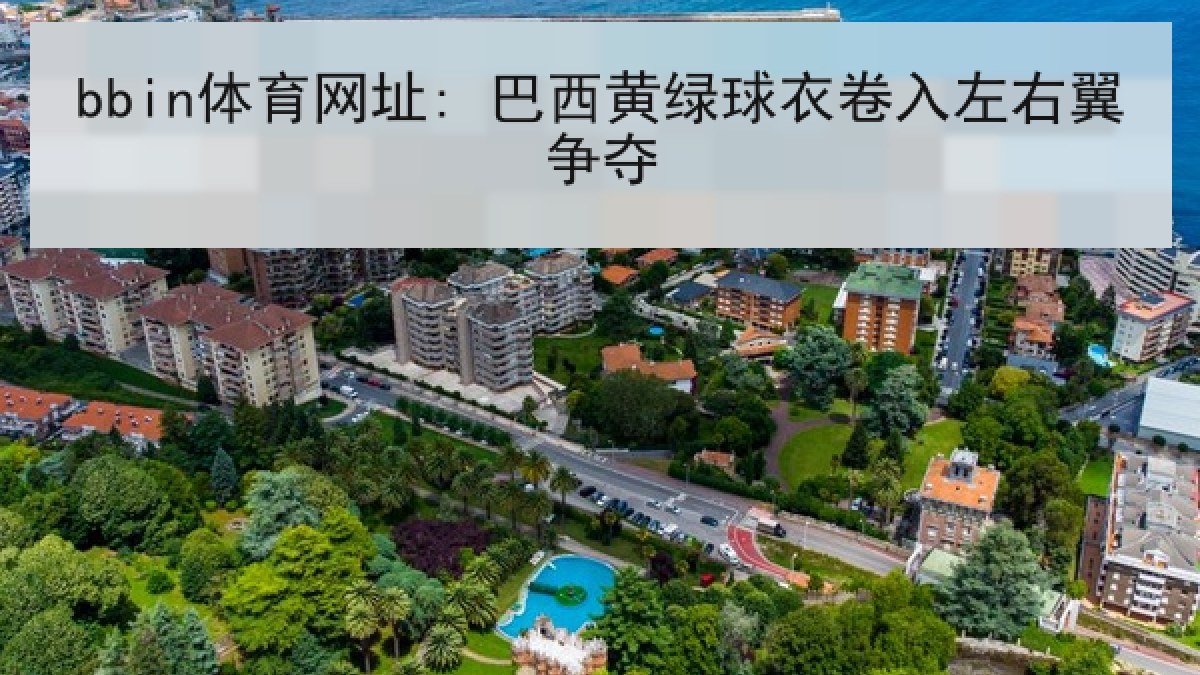 bbin体育网址: 巴西黄绿球衣卷入左右翼争夺