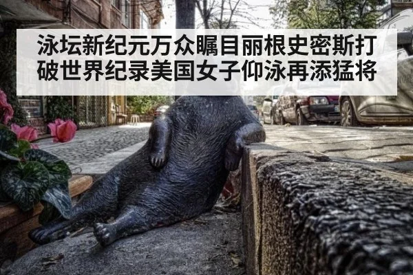 泳坛新纪元万众瞩目丽根史密斯打破世界纪录美国女子仰泳再添猛将